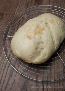 Comment faire du pain au multicuiseur